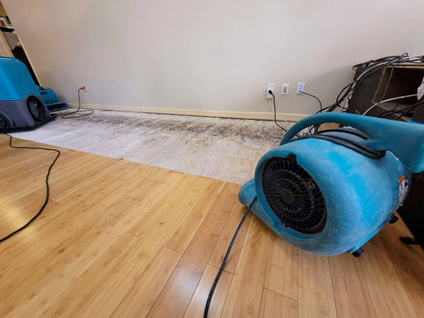 Professional Water Damage Repair technician working in Elizaville, NY